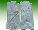 Cotton Glove With PVC Dotted (5021)